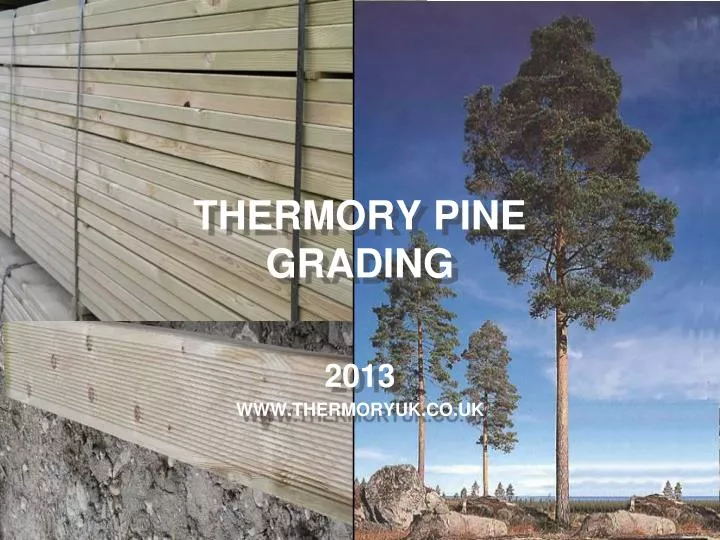 thermory pine grading