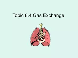 Topic 6.4 Gas Exchange