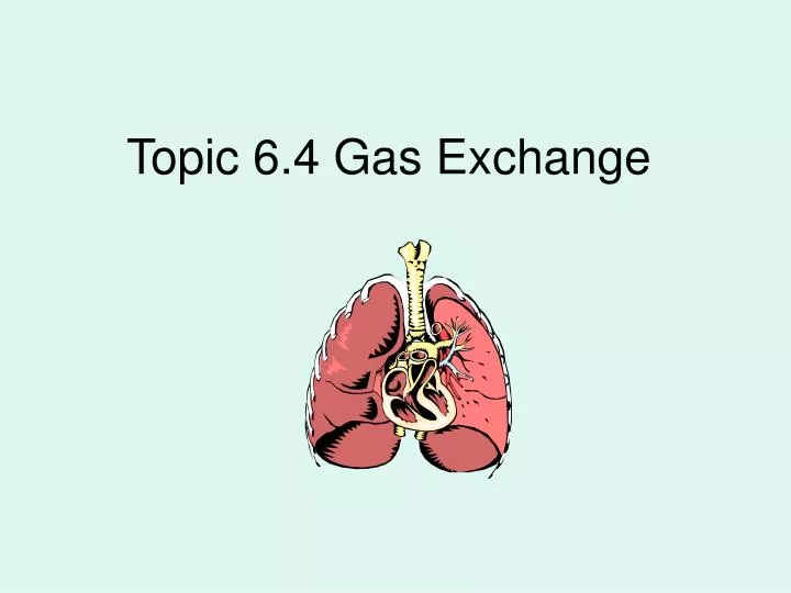 topic 6 4 gas exchange