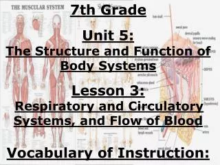 7th Grade Unit 5: The Structure and Function of Body Systems Lesson 3: