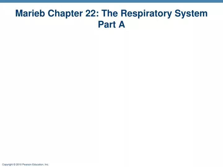 marieb chapter 22 the respiratory system part a