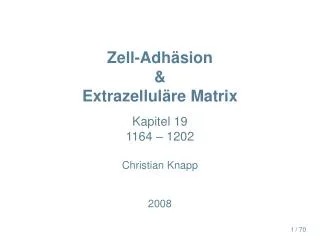 zell adh sion extrazellul re matrix