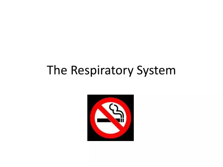 the respiratory system