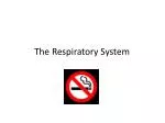 The Respiratory System - slide 1