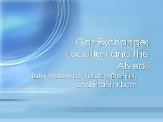 Gas Exchange: Location and the Alveoli