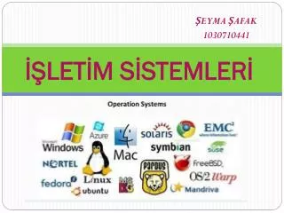 let m s stemler