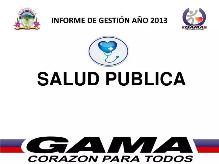 informe de gesti n a o 2013