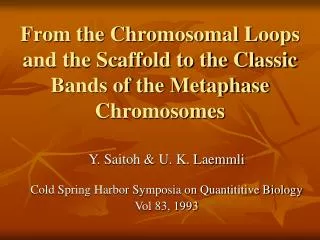 from the chromosomal loops and the scaffold to the classic bands of the metaphase chromosomes