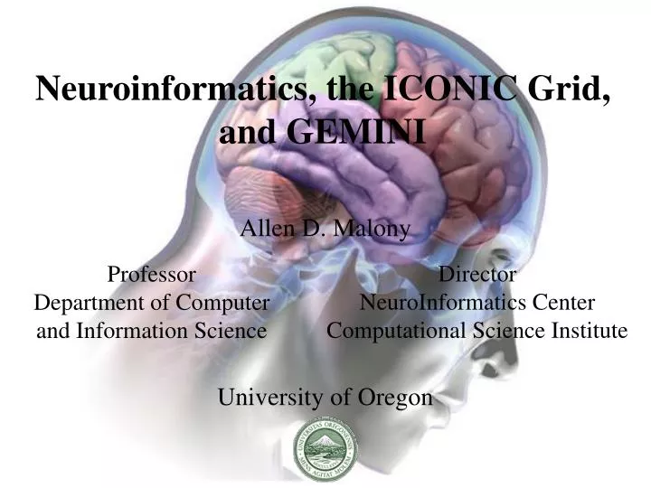neuroinformatics the iconic grid and gemini