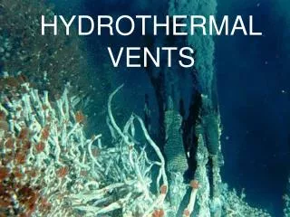 HYDROTHERMAL VENTS