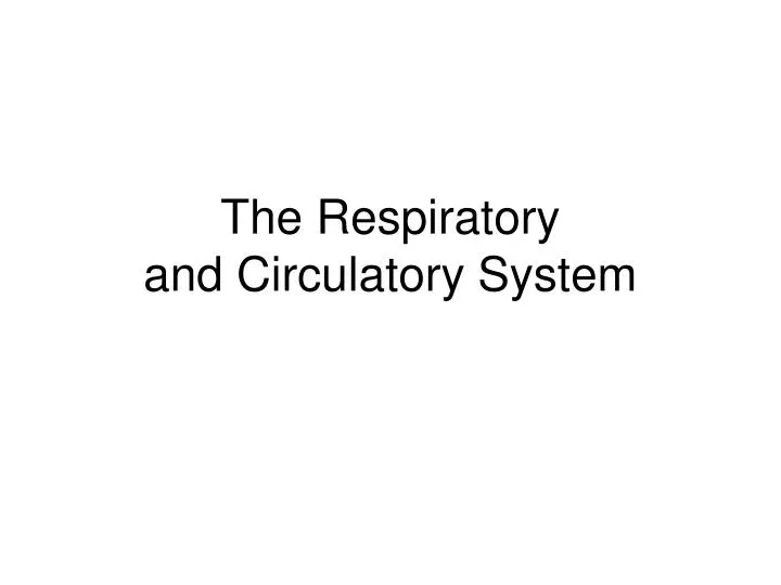 the respiratory and circulatory system