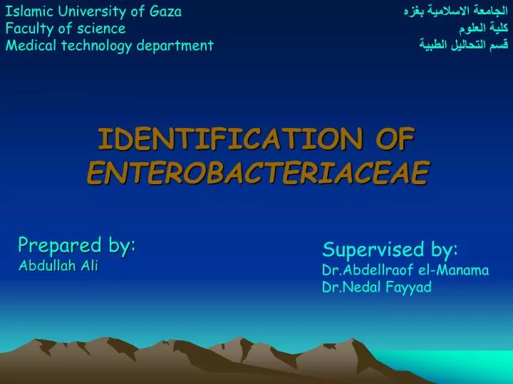 identification of enterobacteriaceae