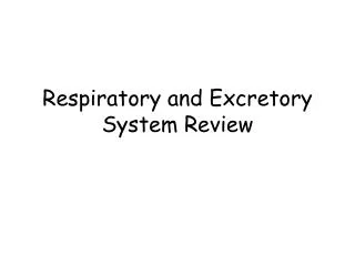 Respiratory and Excretory System Review