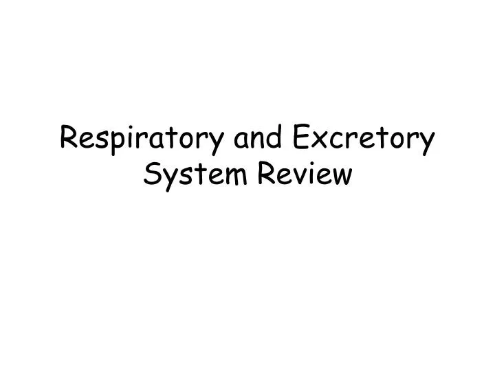 respiratory and excretory system review