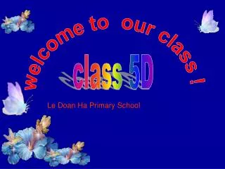 Le Doan Ha Primary School