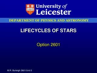 LIFECYCLES OF STARS