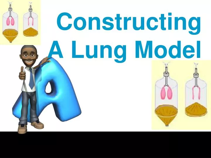 constructing a lung model