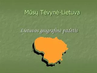 m s t vyn lietuva