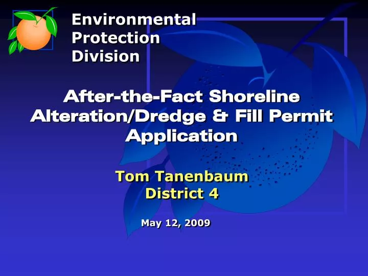 after the fact shoreline alteration dredge fill permit application tom tanenbaum district 4
