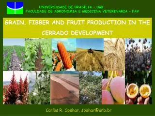 GRAIN, FIBBER AND FRUIT PRODUCTION IN THE CERRADO DEVELOPMENT