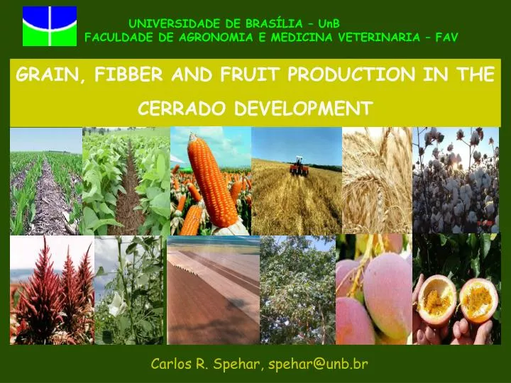 grain fibber and fruit production in the cerrado development