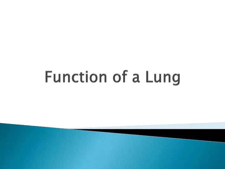 function of a lung