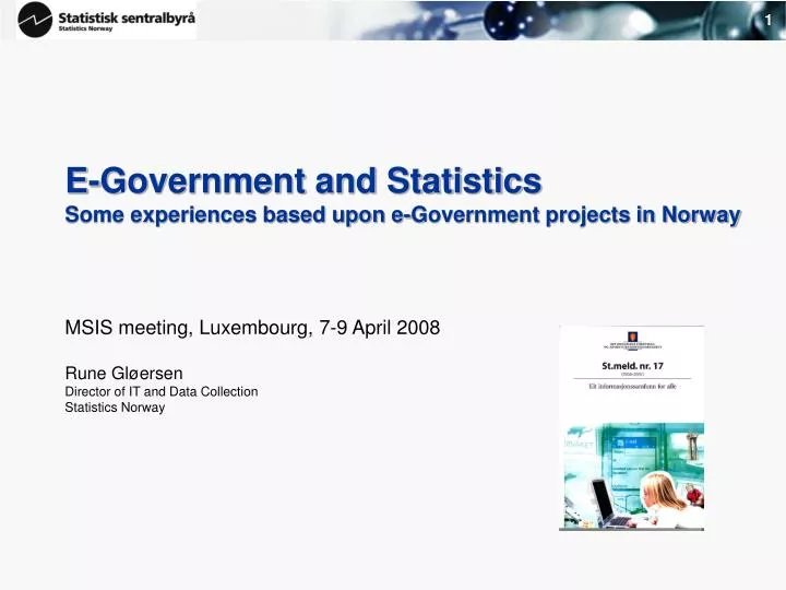 e government and statistics some experiences based upon e government projects in norway