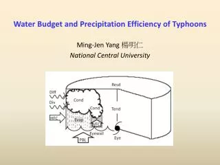 Water Budget and Precipitation Efficiency of Typhoons
