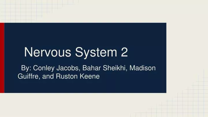 nervous system 2