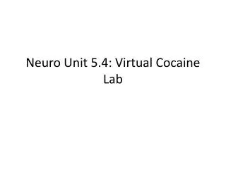 Neuro Unit 5.4: Virtual Cocaine Lab
