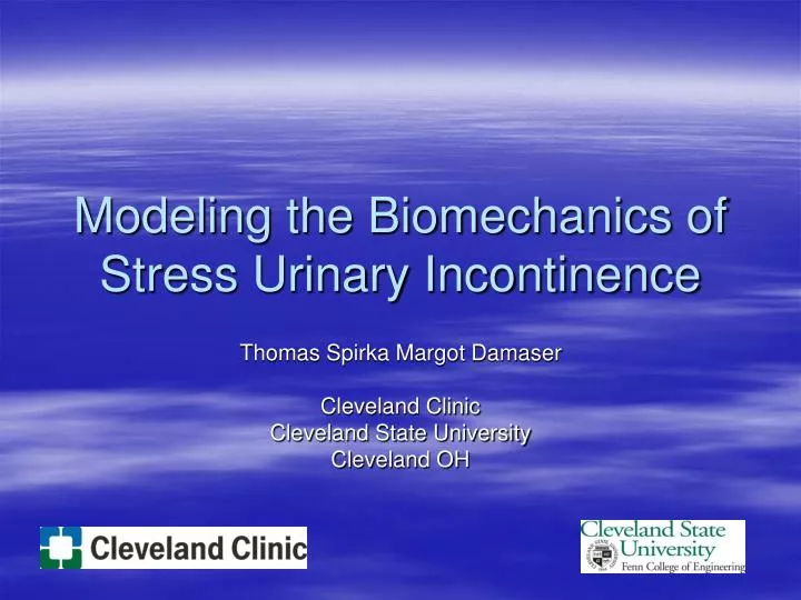 modeling the biomechanics of stress urinary incontinence