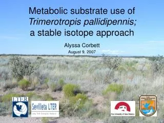 Metabolic substrate use of Trimerotropis pallidipennis; a stable isotope approach