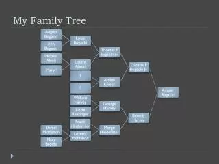 my family tree