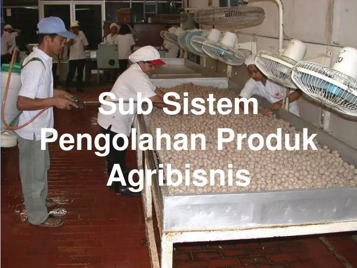 sub sistem pengolahan produk agribisnis