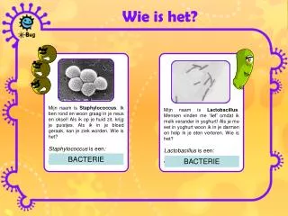 wie is het