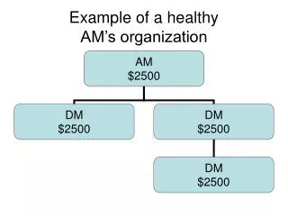example of a healthy am s organization