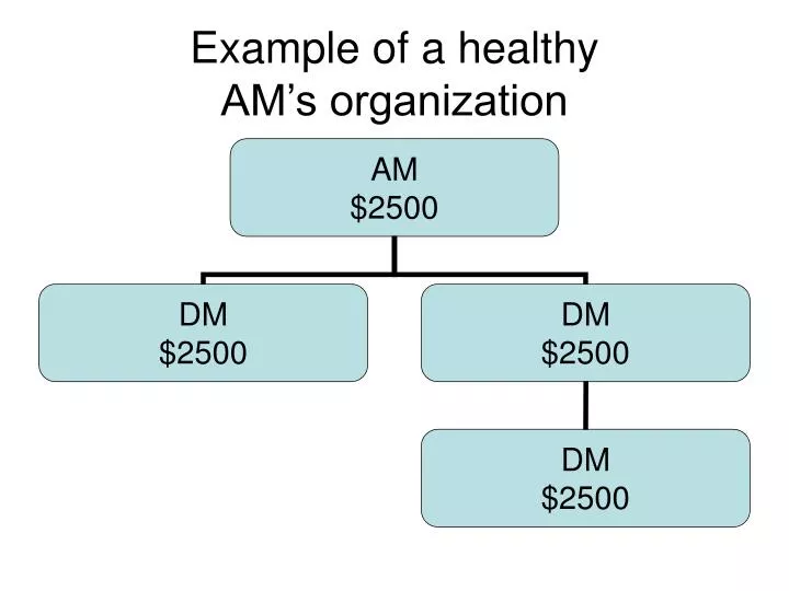 example of a healthy am s organization