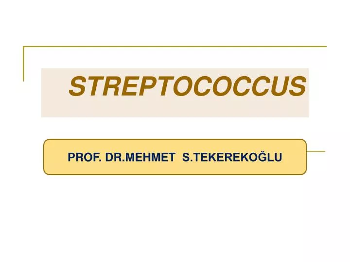 streptococcus