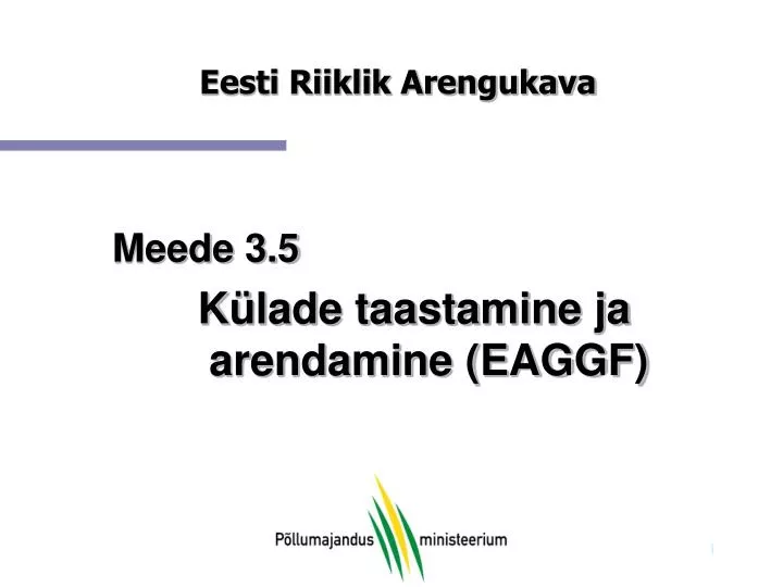 eesti riiklik arengukava