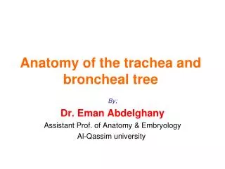 Anatomy of the trachea and broncheal tree
