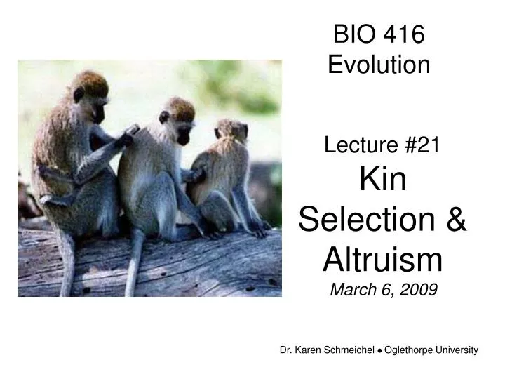 bio 416 evolution