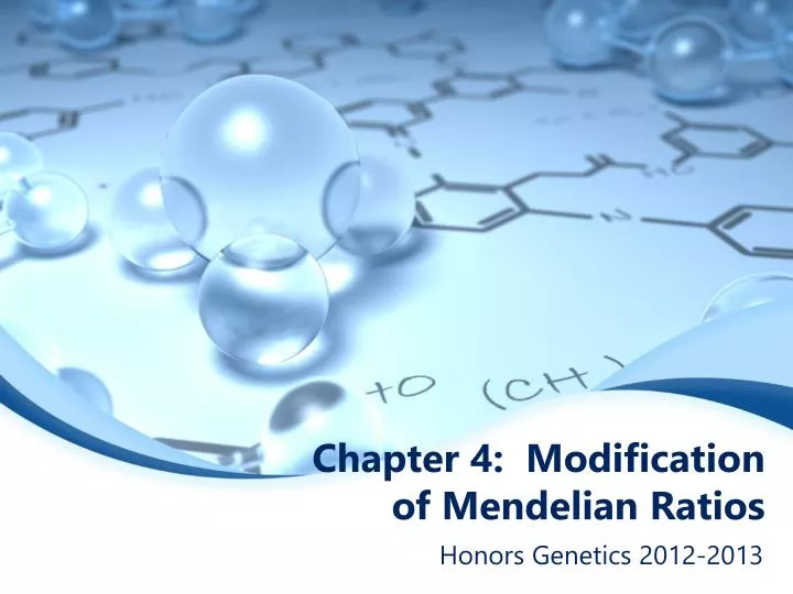 chapter 4 modification of mendelian ratios