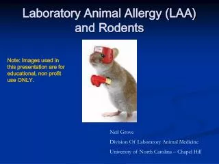 Laboratory Animal Allergy (LAA) and Rodents