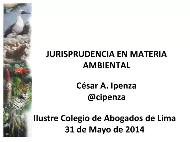 jurisprudencia en materia ambiental c sar a ipenza @ cipenza