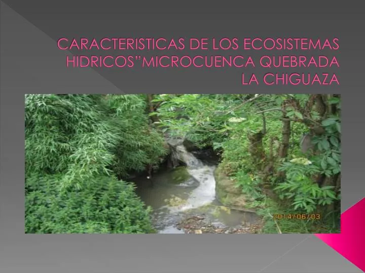 caracteristicas de los ecosistemas hidricos microcuenca quebrada la chiguaza