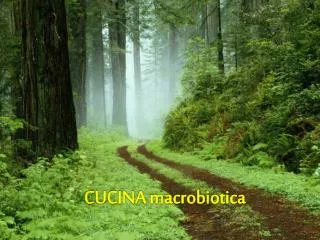 cucina macrobiotica