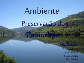 ambiente