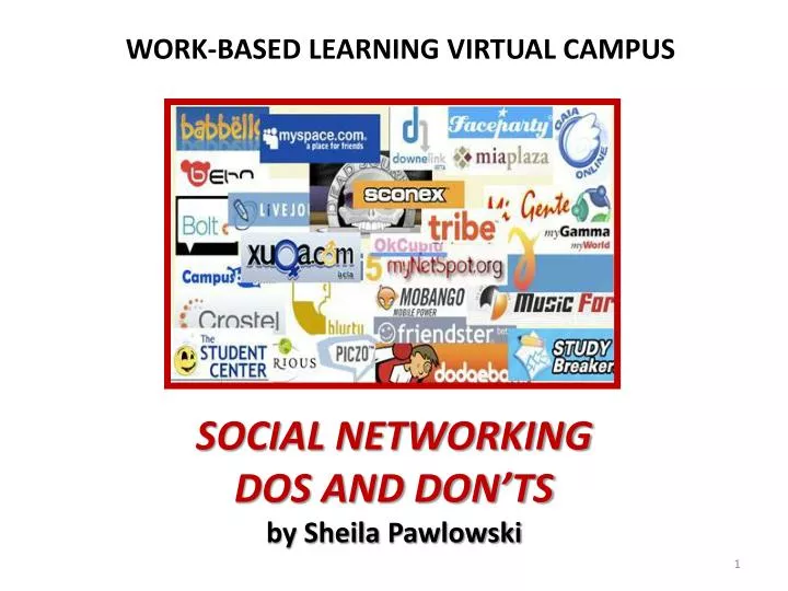 social networking dos and don ts by sheila pawlowski