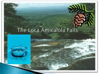 The Loca Amicalola Falls