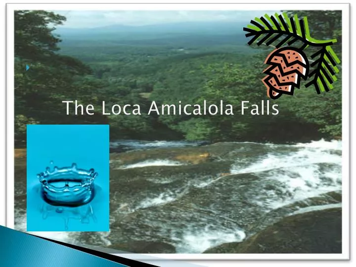 the loca amicalola falls